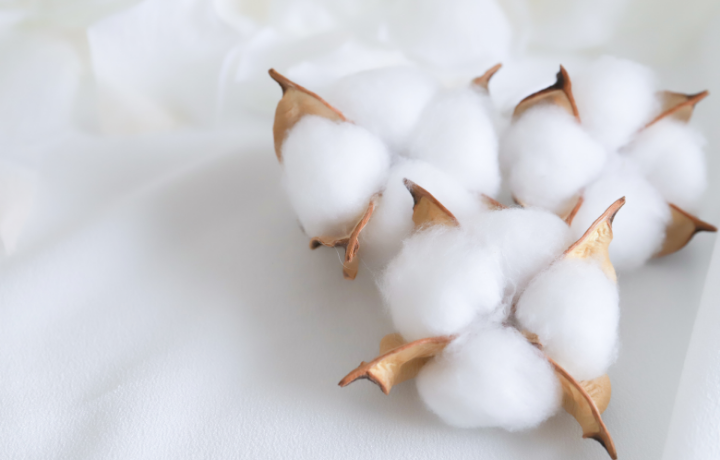 テキスタイル部門 Products 3