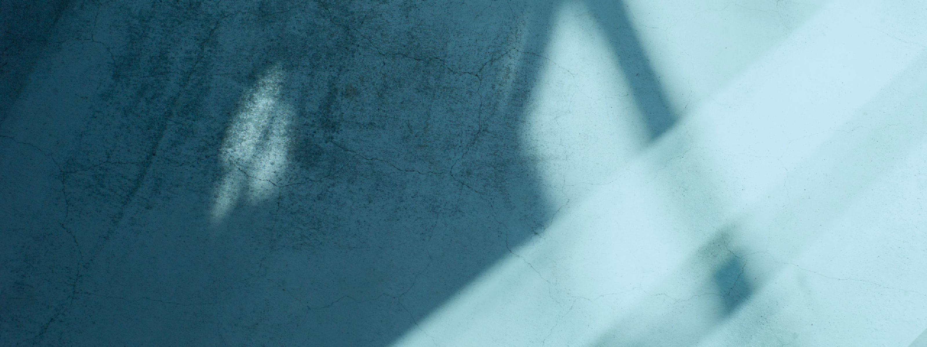 名古屋紡績株式会社 NAGOYA SPINNING CO.,LTD.